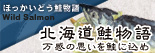 �k�C��������