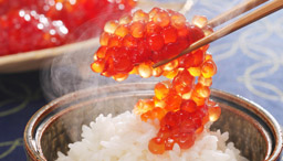 スローフード物語 vol.4 手まり筋子