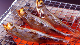 スローフード物語 vol.7 伝説の魚