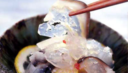 スローフード物語 vol.16 氷頭レモン