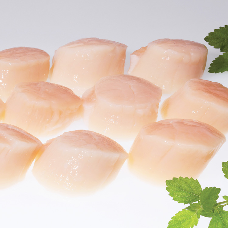 帆立貝柱 食べやすいサイズのお刺身用貝柱です ： 佐藤水産のお取り寄せ通信販売・北海道の鮭・海産物グルメギフト通販