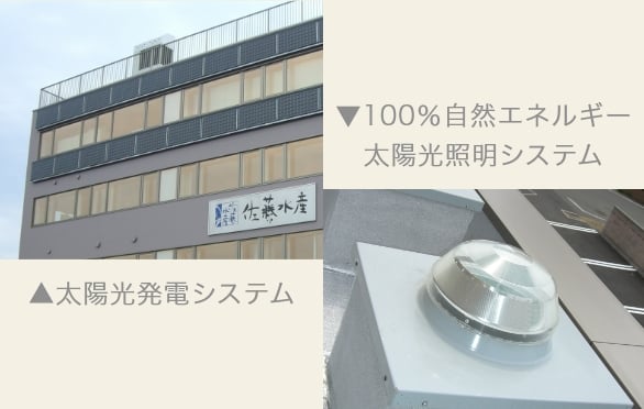 左:太陽光発電システム 右:100%自然エネルギー太陽光照明システム