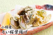 料理写真 料理写真