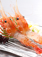 料理写真 料理イメージ
